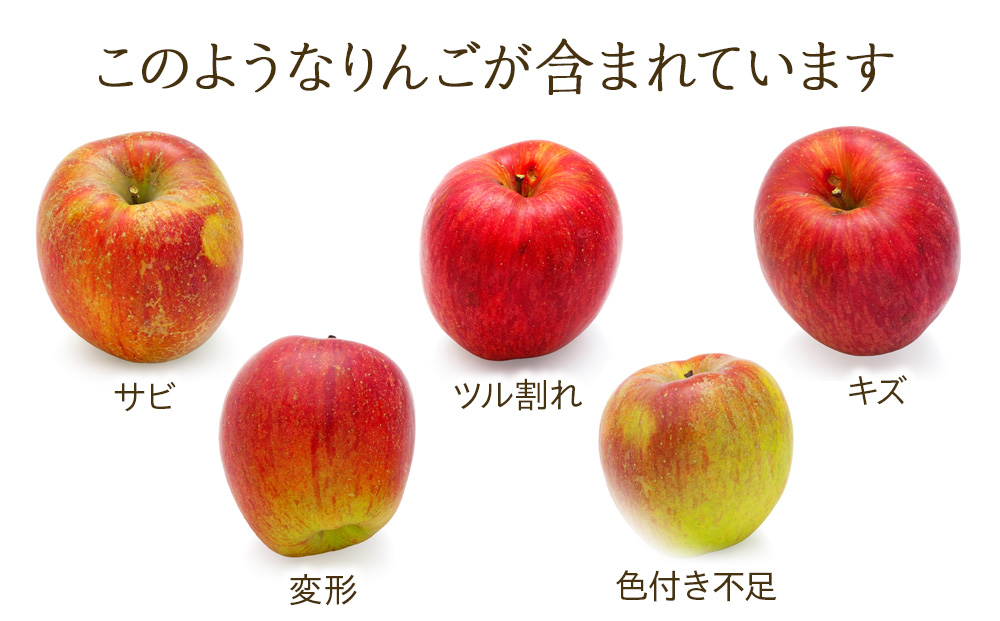 長野県箕輪町のふるさと納税 訳あり りんご あいかの香り 約5kg セット 2025年 令和7年度発送分 リンゴ 林檎 長野 フルーツ 果物 信州産 長野県産 特産 産地直送 家庭用 おすすめ