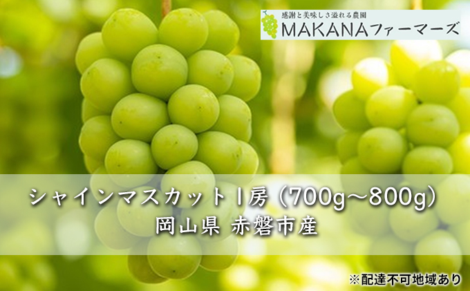 yRԔ֎szԂǂ 2026N s\ VC }XJbg 1[ 700g`800g 嗱 햳 uhE  R Ԕ֎sY Y t[c ʕ Mtg MAKANAt@[}[Y ʕ VC}XJbg