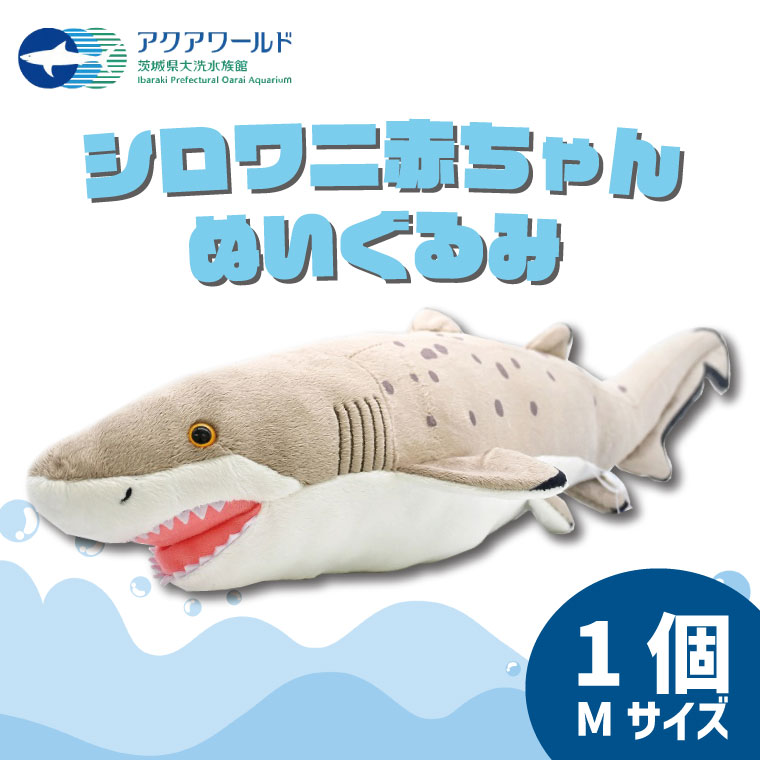 スーパー激レア 海きらら 特賞 サメ ぬいぐるみ くじ 水族館 海 Amazon.co.jp: スーパー 海きらら 特賞 サメ ぬいぐるみ くじ