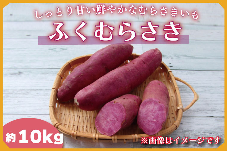 【茨城県行方市】【2025年11月より順次発送】2025年度産 しっとり甘い鮮やかな紫いも ふくむらさき 約10kg|さつまいも 芋 お芋 ふくむらさき 紫いも 渋谷農園 先行予約 茨城県 行方市(BZ-35)