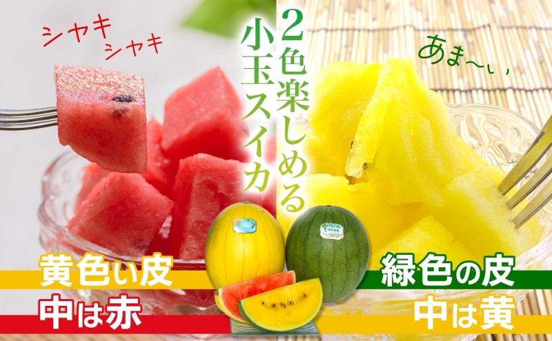 北海道 小玉 スイカ 2種 セット 夏の日と緑 2～2.5kg 2玉 赤色 黄色 2026年7月10日より順次出荷 すいか 果物 フルーツ 旬 西瓜 甘い プレゼント ギフト 自家用 お中元 お取り寄せ 国産 ご褒美 直送 エーコープつきがた