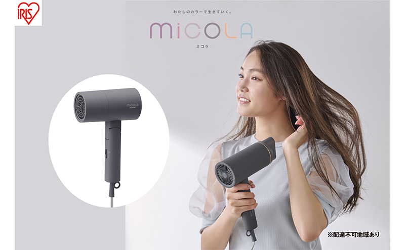 【宮城県大河原町】ドライヤー イオンドライヤー HDR-M101-H ダークグレー アイリスオーヤマ 雑貨 日用品 電化製品 折りたたみ式 4カラー ブロー スタイリング 乾かす