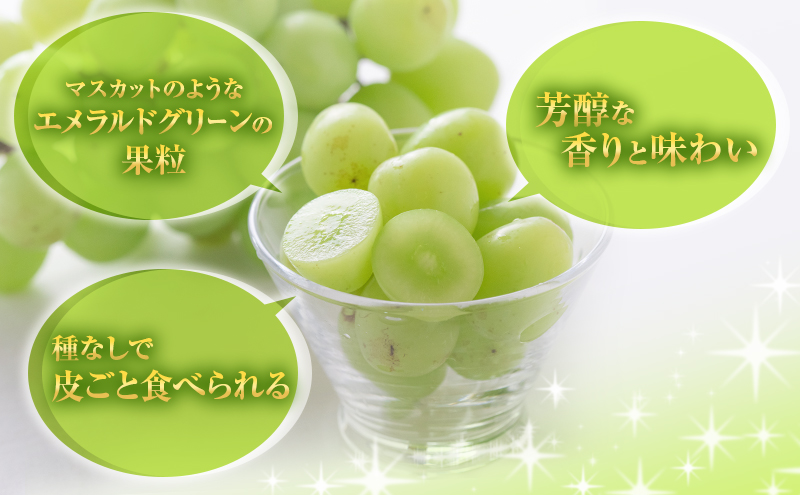 シャインマスカット 約4kg ぶどう 葡萄 フルーツ 岡山 高梁市産 2026年 先行予約 果物類 芳醇な香り 種なし 皮ごと 
