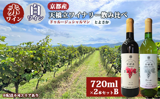 赤ワイン ・ 白ワイン 京都産 天橋立ワイナリー 飲み比べ 720ml×2本セットB（ 2022ドゥルージュシャルマン やや甘口 、とよさか 甘口 ）