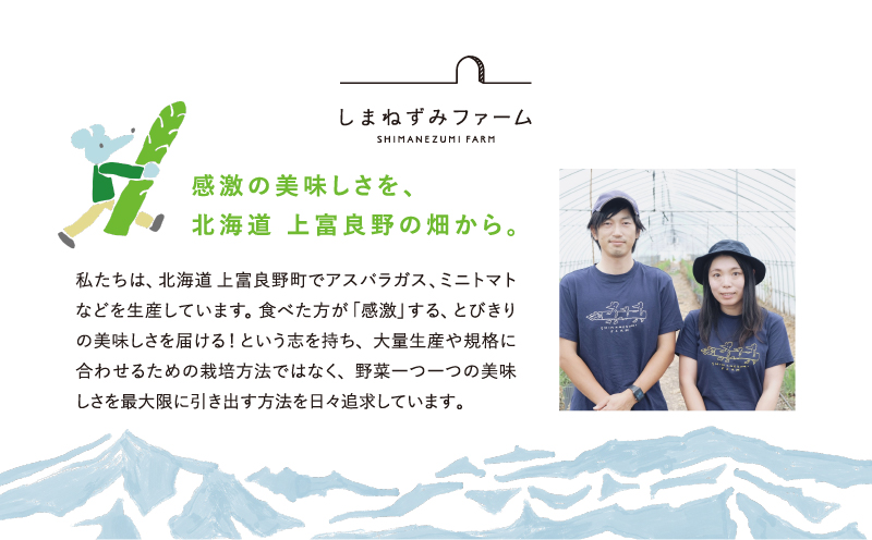 北海道上富良野町のふるさと納税 先行予約 【 2026年 発送 ！】 北海道 上富良野産 ホワイトアスパラガス 3L サイズ 400g アスパラ ホワイト アスパラガス 上富良野町 令和7年発送 野菜 やさい