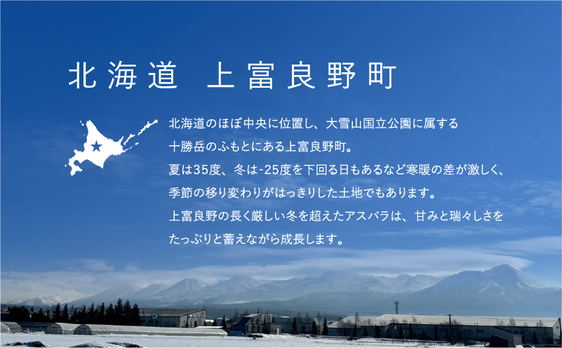 北海道上富良野町のふるさと納税 先行予約 【 2026年 発送 ！】 北海道 上富良野産 ホワイトアスパラガス 3L サイズ 400g アスパラ ホワイト アスパラガス 上富良野町 令和7年発送 野菜 やさい
