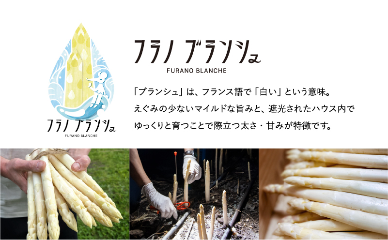北海道上富良野町のふるさと納税 先行予約 【 2026年 発送 ！】 北海道 上富良野産 ホワイトアスパラガス 3L サイズ 400g アスパラ ホワイト アスパラガス 上富良野町 令和7年発送 野菜 やさい