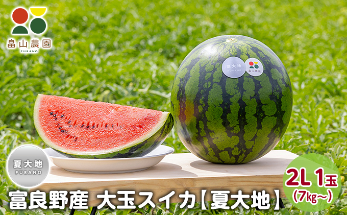 ykCxǖszy2026ĔzxǖY  XCJ 2Li7kg`j1ʁyđnzkC ӂ  Z  t[c ӂ Â x 傫 傾 (R_j