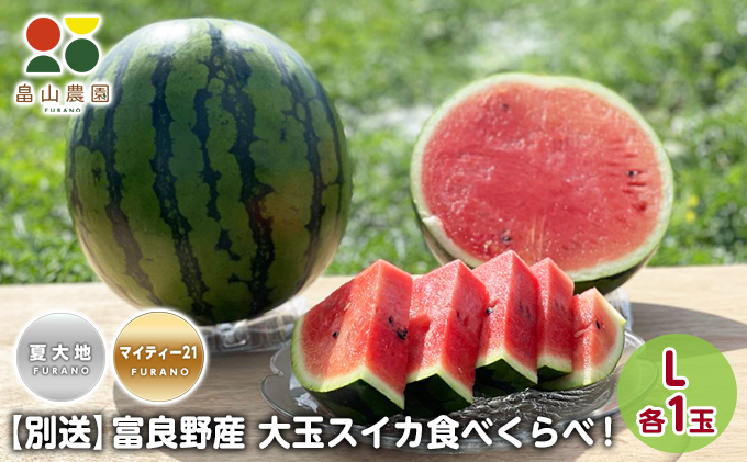 ykCxǖszs\yHהׁz xǖY  XCJ L e1(đnE}CeB21) kC ӂ  Z  t[c ӂ Â x 傫 傾 Zbg ʑ  (R_j