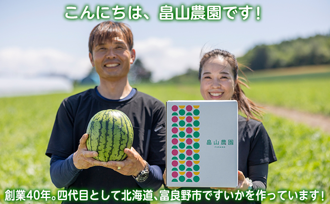 2025夏発送】富良野産 大玉 スイカ 2L（7kg～）1玉【夏大地