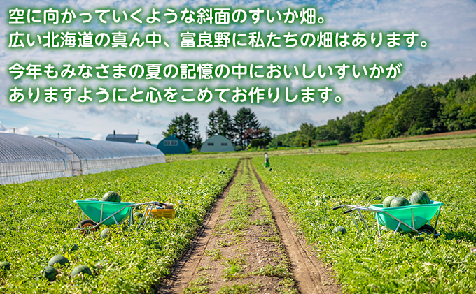 富良野産  西瓜  スイカ  計18kg 大玉×2  ハネ品  家庭用 2025夏発送】富良野産 大玉 スイカ 2L（7kg～）1玉【夏大地