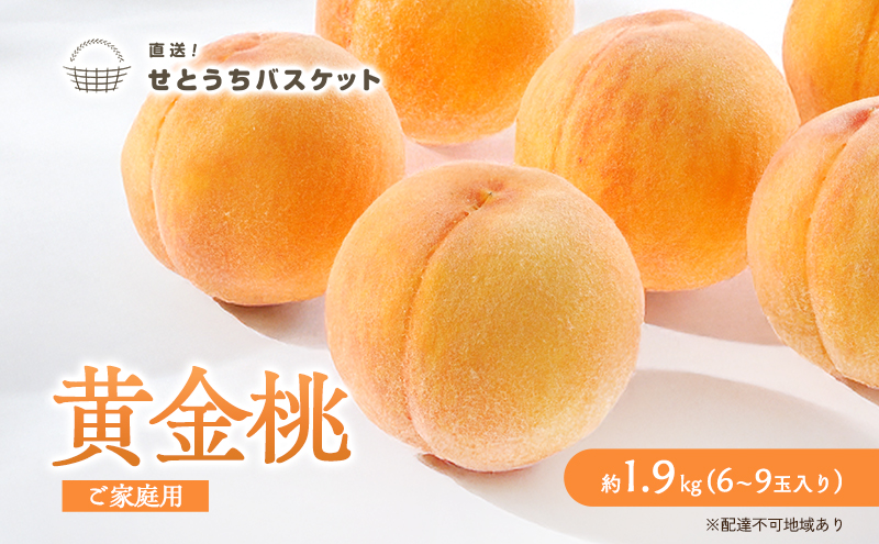 yRʖsz 2026N s\ R  ƒp 2kg 6`9ʓ   RY Y t[c ʕ IƂoXPbg XC[c  Yi   ʏ` V[Y Z