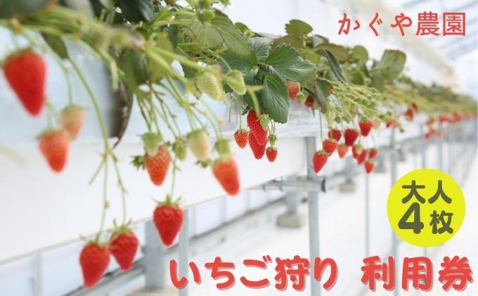 かぐや農園 いちご狩り 利用券 大人4枚《2025年12月10日～2026年5月31日ご利用可能》 体験チケット いちご狩り券 高設栽培 いちご食べ放題 フルーツ狩り お出かけ 
