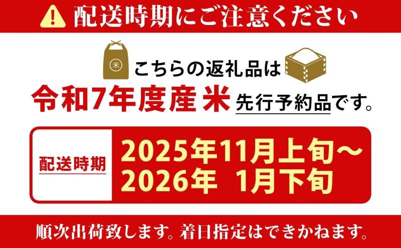 北海道新篠津村のふるさと納税 【ふるさと納税】北海道 R7年産 北海道産 ななつぼし 10kg 精米 白米 ごはん お米 新米 特A 10キロ 北海道米 ブランド米 あっさり ふっくら 食味ランキング 新しのつ米 令和7年産 産地直送