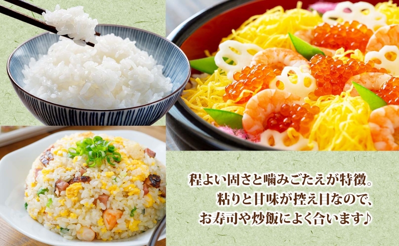 北海道新篠津村のふるさと納税 北海道 R7年産 北海道産 ななつぼし5kg 精米 白米 ごはん お米 新米 特A 5キロ ライス 北海道米 ブランド米 あっさり ふっくら 食味ランキング 新しのつ米 令和7年産