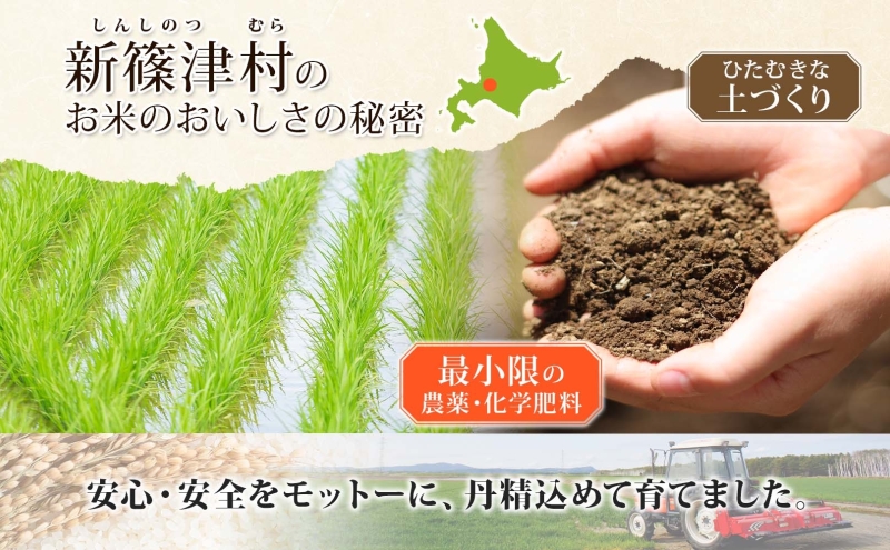 北海道新篠津村のふるさと納税 北海道 定期便 12ヵ月 連続 全12回 R7年産 北海道産 ななつぼし 5kg 精米 白米 ごはん お米 新米 特A ライス 北海道米 ブランド米 食味ランキング 新しのつ米 令和7年産