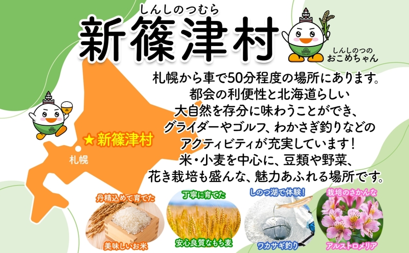 北海道新篠津村のふるさと納税 北海道 定期便 12ヵ月 連続 全12回 R7年産 北海道産 ななつぼし 5kg 精米 白米 ごはん お米 新米 特A ライス 北海道米 ブランド米 食味ランキング 新しのつ米 令和7年産