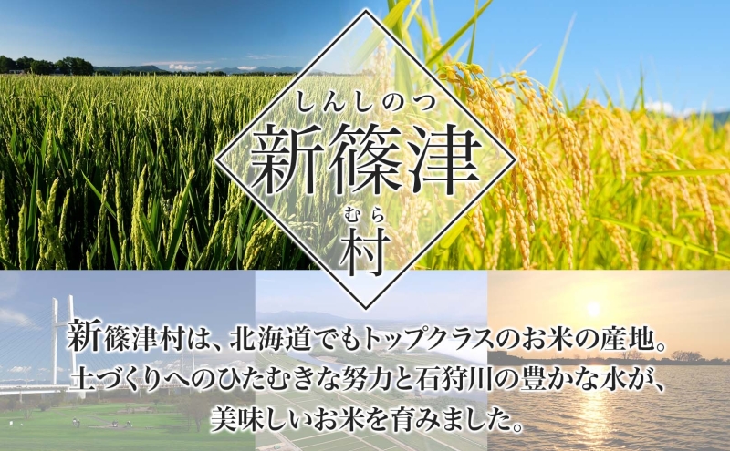 北海道新篠津村のふるさと納税 北海道 定期便 12ヵ月 連続 全12回 R7年産 北海道産 ななつぼし 5kg 精米 白米 ごはん お米 新米 特A ライス 北海道米 ブランド米 食味ランキング 新しのつ米 令和7年産