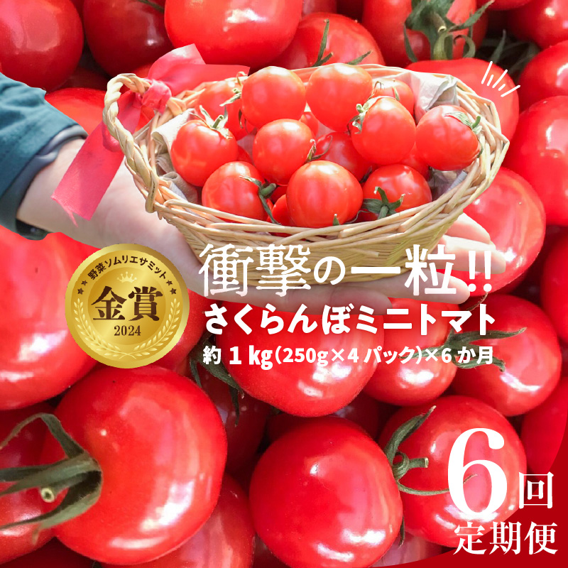 トマト premium tokutani52 | 春 Spring fruits,徳谷トマト | | フルーツ