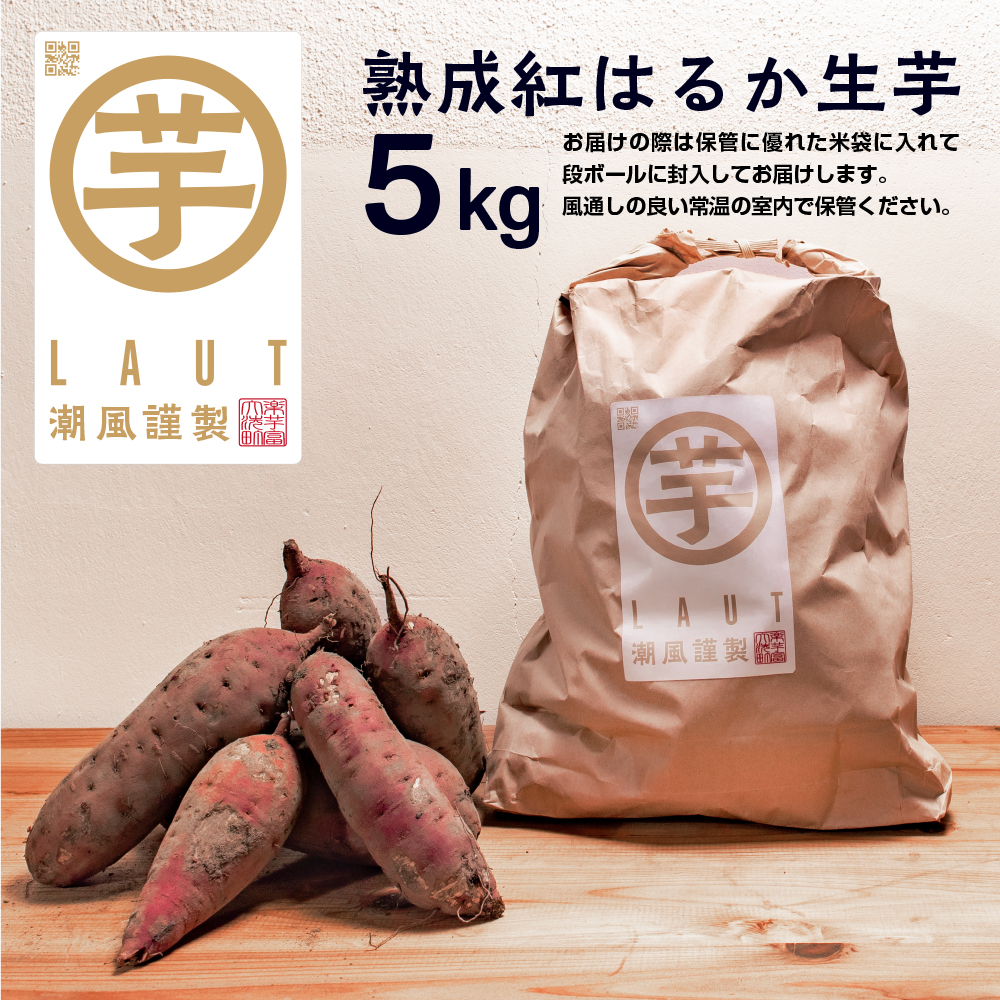 【先行予約】干し芋屋のさつまいも 熟成 紅はるか 生芋 5kg 無添加 無着色 茨城県産 サツマイモ 土付き 芋 さつまいも さつま芋 薩摩芋 紅遥 べにはるか