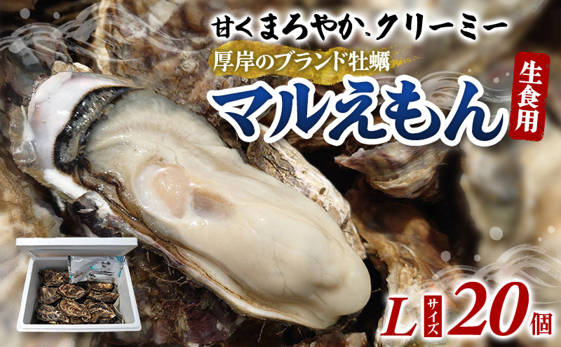 牡蠣 厚岸のブランド牡蠣 マルえもん Lサイズ 20個 生食用 魚貝類 海鮮 海のミルク 国産 生食用殻付き牡蠣 まろやか クリーミー 食べやすい品種 海の香り 牡蠣の酒蒸し 焼き牡蠣 マルえもん