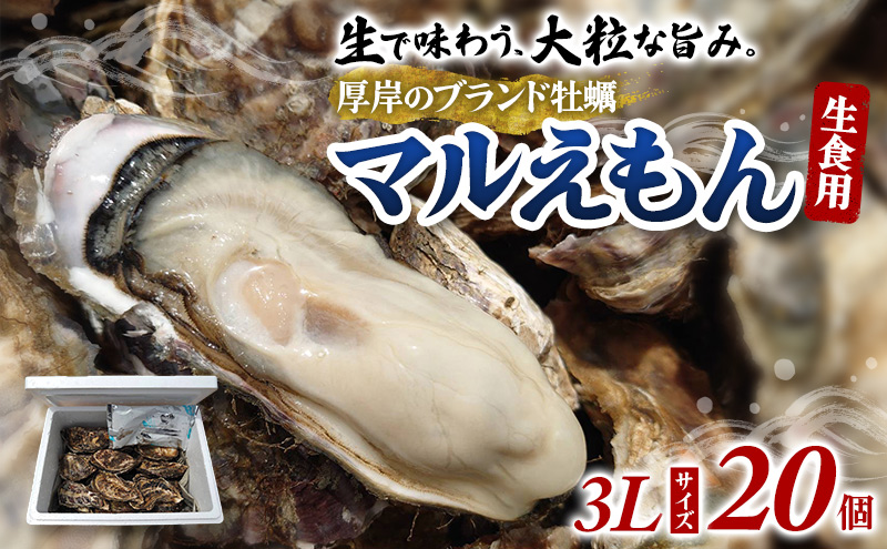 牡蠣 厚岸のブランド牡蠣 マルえもん 3Lサイズ 20個 生食用 魚貝類 海鮮 海のミルク 国産 生食用殻付き牡蠣 まろやか クリーミー 食べやすい品種 海の香り 牡蠣の酒蒸し 焼き牡蠣 マルえもん