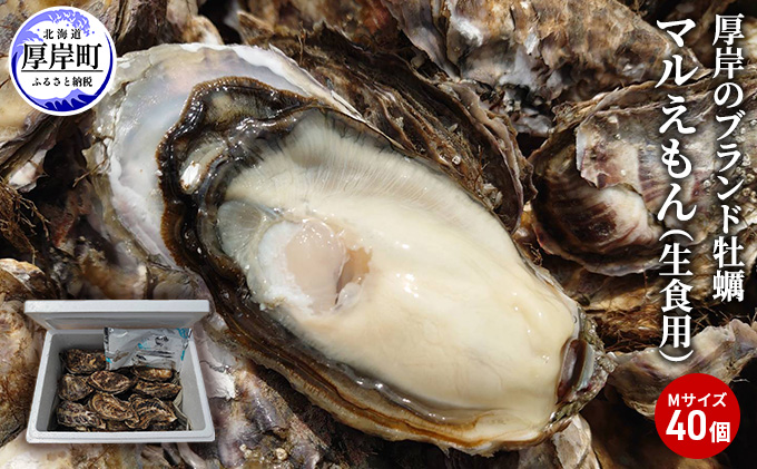 牡蠣 厚岸のブランド牡蠣 マルえもん Mサイズ 40個 生食用 魚貝類 海鮮 海のミルク 国産 生食用殻付き牡蠣 まろやか クリーミー 食べやすい品種 海の香り 牡蠣の酒蒸し 焼き牡蠣 マルえもん
