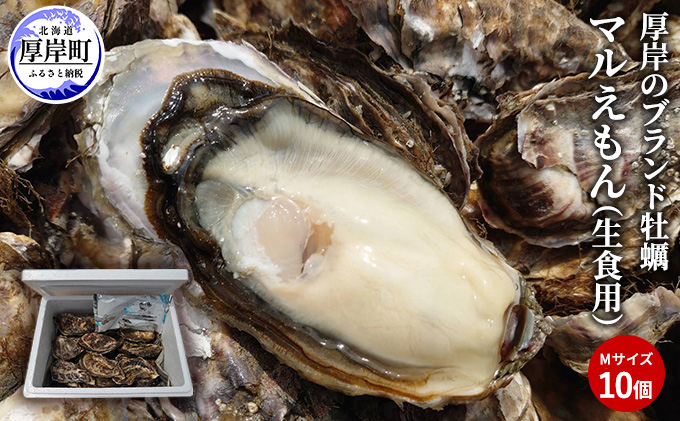 【北海道厚岸町】牡蠣 厚岸のブランド牡蠣 マルえもん Mサイズ 10個 生食用 魚貝類 海鮮 海のミルク 国産 生食用殻付き牡蠣 まろやか クリーミー 食べやすい品種 海の香り 牡蠣の酒蒸し 焼き牡蠣 マルえもん
