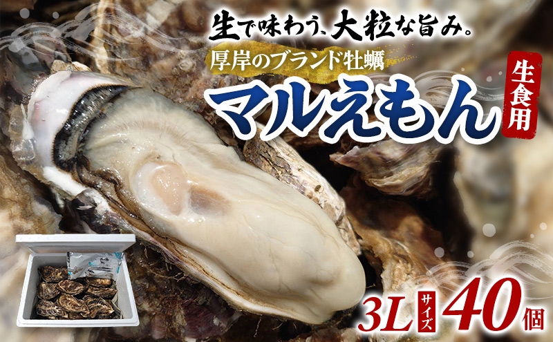 牡蠣 厚岸のブランド牡蠣 マルえもん 3Lサイズ 40個 生食用 魚貝類 海鮮 海のミルク 国産 生食用殻付き牡蠣 まろやか クリーミー 食べやすい品種 海の香り 牡蠣の酒蒸し 焼き牡蠣 マルえもん