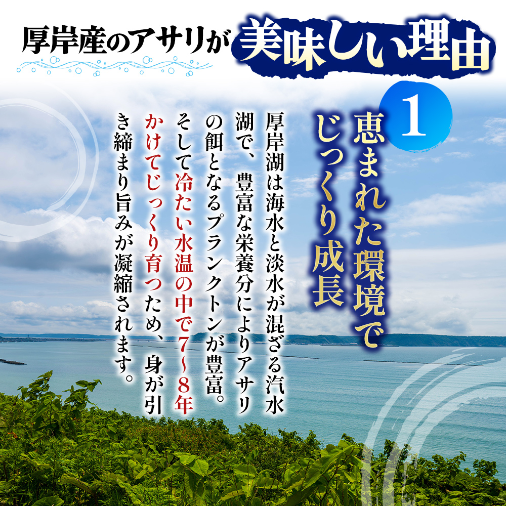 あさり 漁師から直で仕入れ！厚岸産の大きなあさり 1kg 海鮮 旨味 ミネラル豊富 タウリン アサリ みそ汁 酒蒸し 砂出し済 