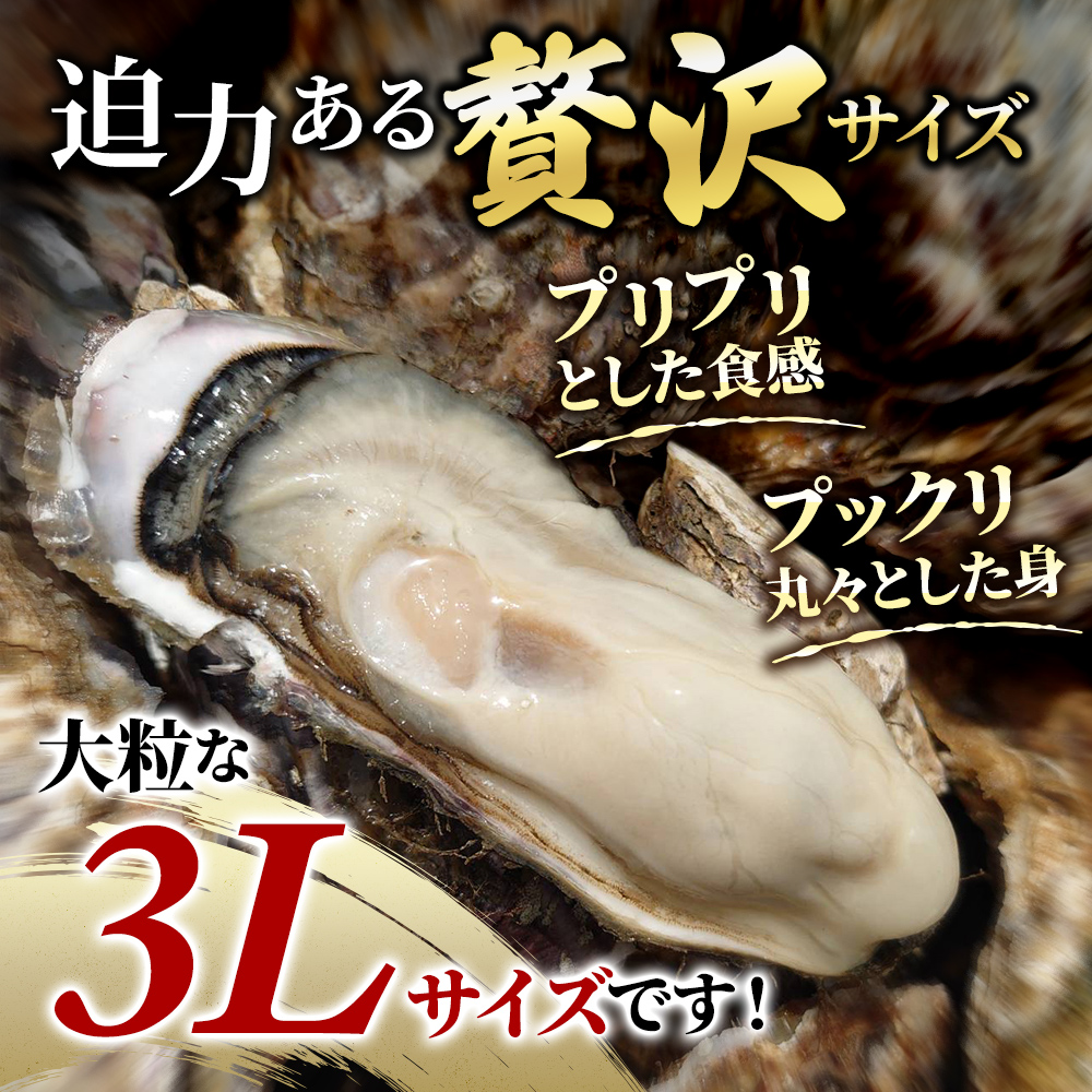 牡蠣 厚岸のブランド牡蠣 マルえもん 3Lサイズ 20個 生食用 魚貝類 海鮮 海のミルク 国産 生食用殻付き牡蠣 まろやか クリーミー 食べやすい品種 海の香り 牡蠣の酒蒸し 焼き牡蠣 マルえもん