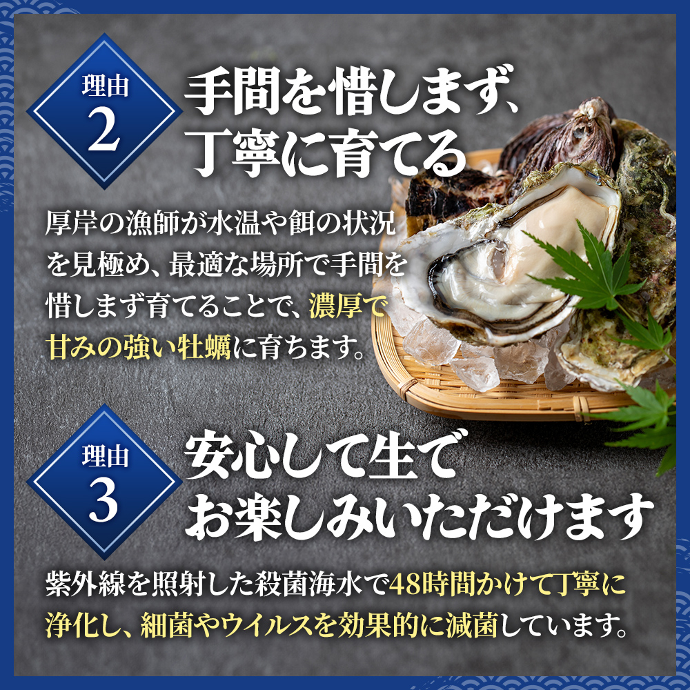 牡蠣 厚岸のブランド牡蠣 マルえもん 3Lサイズ 20個 生食用 魚貝類 海鮮 海のミルク 国産 生食用殻付き牡蠣 まろやか クリーミー 食べやすい品種 海の香り 牡蠣の酒蒸し 焼き牡蠣 マルえもん