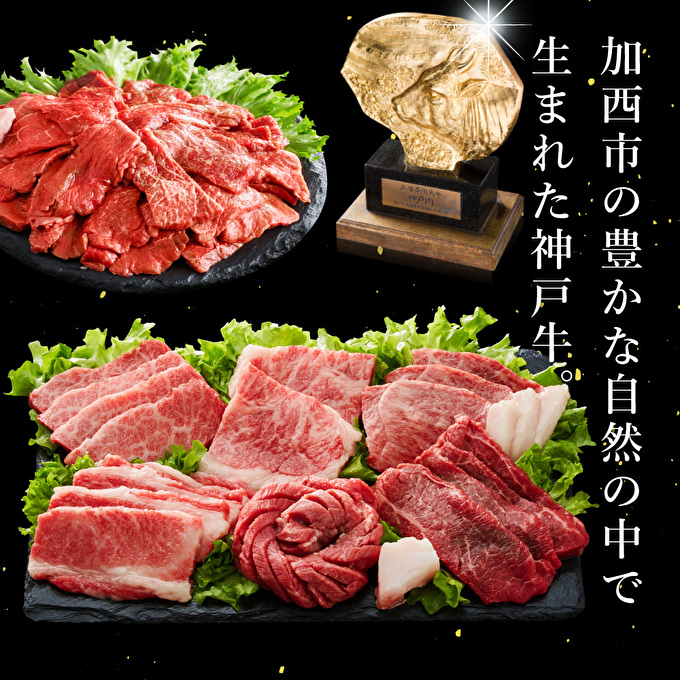 兵庫県加西市のふるさと納税 定期便 肉 神戸牛 満足4種【4ヶ月連続お届け】全4回 【赤身焼肉・肩ロースすき焼き肉・ロースステーキ3枚・焼肉食べ比べ 4ヵ月】定期便 お肉 牛肉 和牛 すき焼き ステーキ肉 ヒライ牧場 お届け：ご入金の翌月より毎月中旬頃 神戸ビーフ