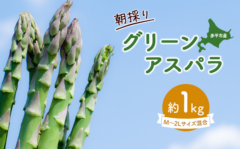 北海道赤平市のふるさと納税 アスパラ 北海道 朝採り 春グリーンアスパラ 約1kg［ほりぐち農園］ ※2026年4月中旬出荷開始先行予約 野菜 アスパラガス グリーンアスパラ 旬 とれたて お取り寄せ 産地直送 生産者直送