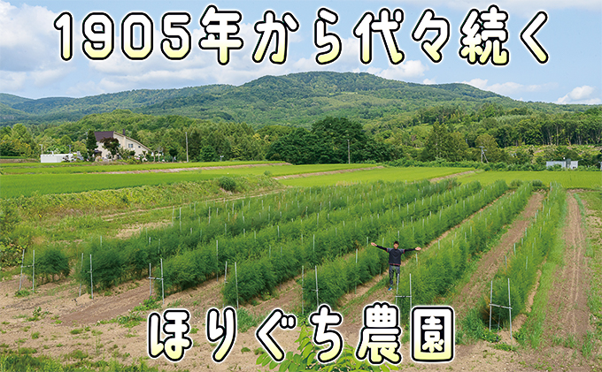 北海道赤平市のふるさと納税 アスパラ 北海道 約1.5kg！朝採り 露地限定グリーンアスパラ（M・Sサイズ混合）［ほりぐち農園］※2026年5月中旬出荷開始先行予約  野菜 アスパラガス 旬 とれたて お取り寄せ 産地直送