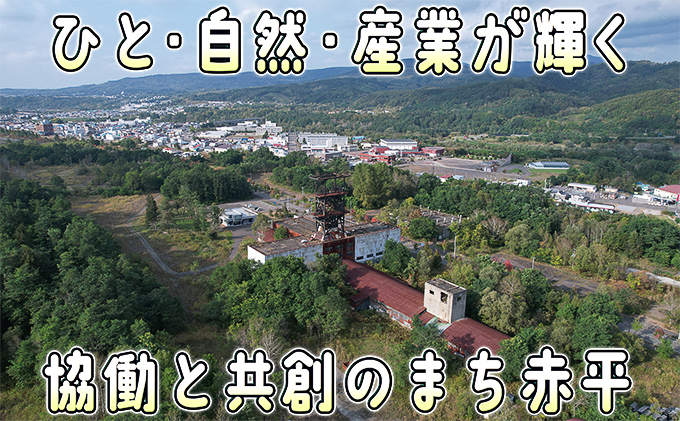 北海道赤平市のふるさと納税 アスパラ 北海道 約1.5kg！朝採り 露地限定グリーンアスパラ（M・Sサイズ混合）［ほりぐち農園］※2026年5月中旬出荷開始先行予約  野菜 アスパラガス 旬 とれたて お取り寄せ 産地直送