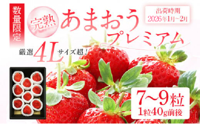 福岡県大木町のふるさと納税 ＜2026年1月～2月頃発送予定＞あまおうプレミアム BD02