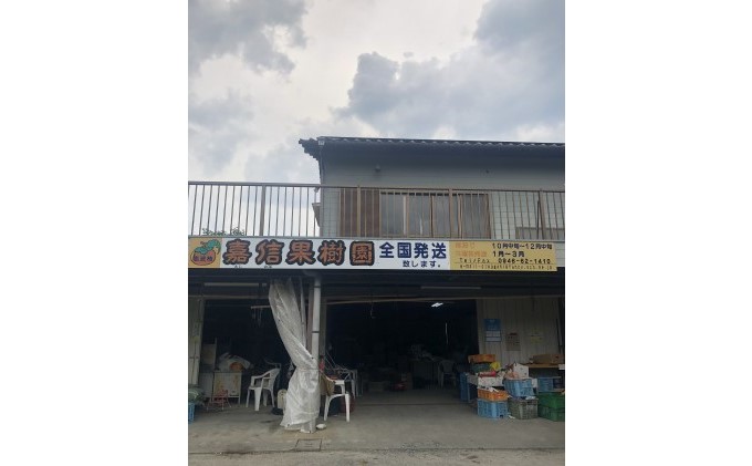 柿 冷蔵 富有柿 Lサイズ  9～11玉入り かき カキ 果物 くだもの フルーツ 配送不可 離島 