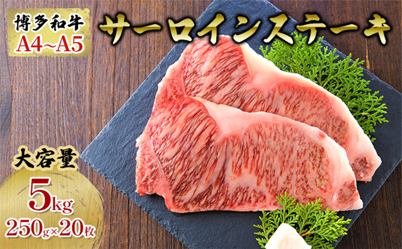 【福岡県朝倉市】牛肉 サーロインステーキ 合計5kg 博多和牛 A4〜A5 セット 250g×20枚 配送不可:離島