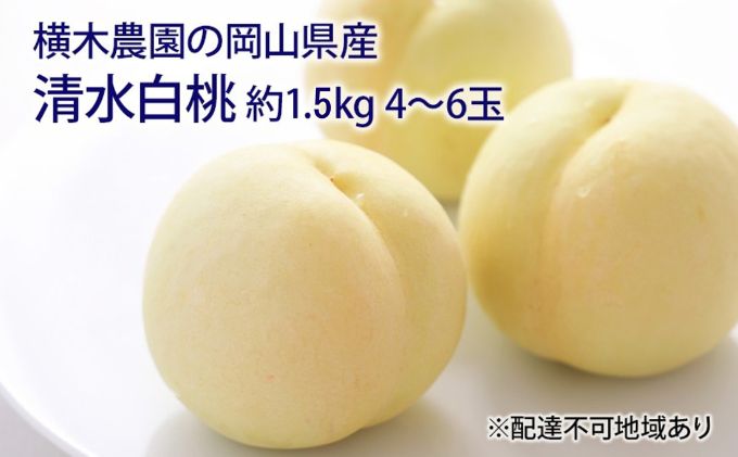 桃 2026年 先行予約 清水 白桃 約1.5kg 4～6玉 もも モモ 岡山県産 国産 フルーツ 果物 ギフト 横木農園 清水白桃 スイーツ 
