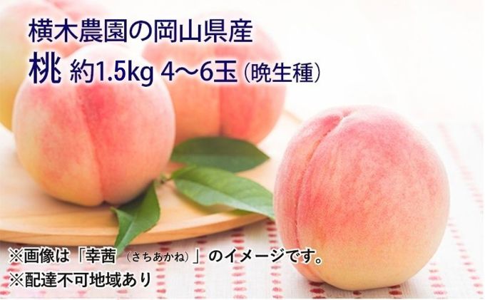 yR˓sz 2026N s\ R̓iӐj1.5kg 4`6   RY Y t[c ʕ Mtg ؔ_ XC[c