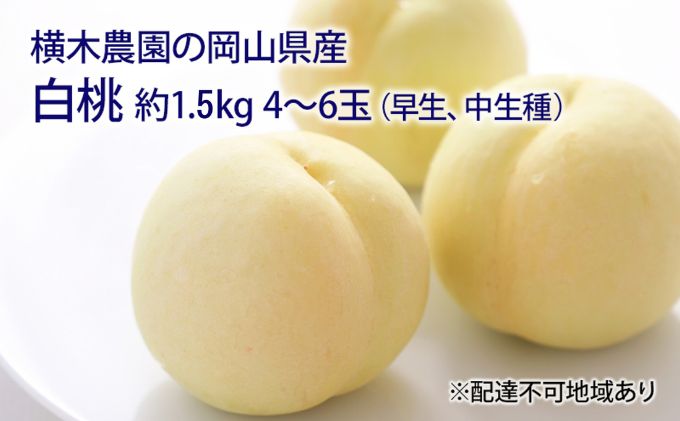 yR˓sz 2026N s\ R iAj1.5kg 4`6   RY Y t[c ʕ Mtg ؔ_ XC[c