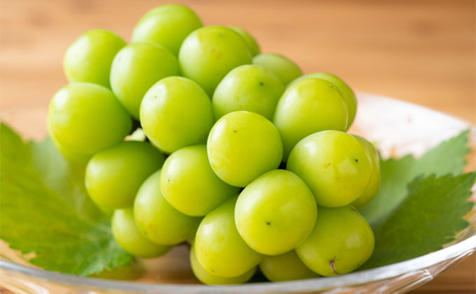 ぶどう 2026年 先行予約 シャイン マスカット 2房 合計約1.3kg 贈答用 ブドウ 葡萄  岡山県産 国産 フルーツ 果物 ギフト 横木農園 果物類 スイーツ 