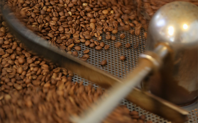 【定期便6ヶ月】コーヒー 粗挽き（フレンチプレス用）1袋 200g キノシタショウテン コーヒー豆 珈琲豆 