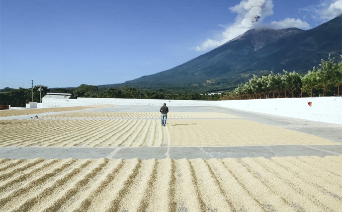 【定期便6ヶ月】コーヒー 中挽き（ドリップ用）1袋 200g キノシタショウテン 飲料 珈琲 ドリップコーヒー 