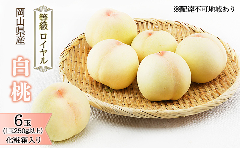 桃 2026年 先行予約 白桃 6玉 （1玉250g以上） 等級：ロイヤル 化粧箱入り もも モモ 岡山県産 国産 フルーツ 果物 ギフト 贈答品 糖度12.0度以上 