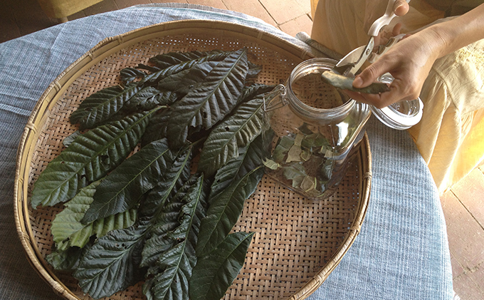 【2024年9月11日以降順次出荷】Inori ナチュラルヘルス＆エコセット（ビワの葉エキス他） 加工食品 手作り 加工品 詰め替え用ボトル 