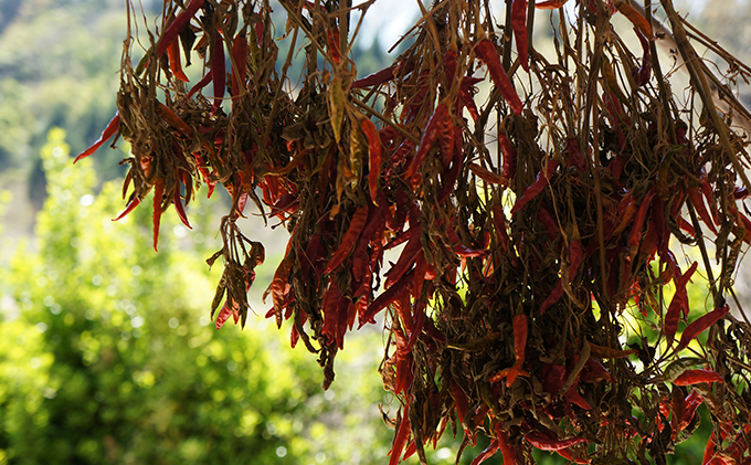 【2024年9月11日以降順次出荷】Inori オーガニック 瓶詰め（ナチュラルスウィートチリソース）240g×3個セット 加工食品 惣菜 レトルト 