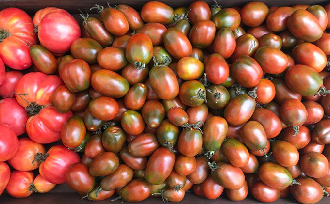 【2024年9月11日以降順次出荷】Inori オーガニック 瓶詰め（バジル＆トマトソース）220g×3個セット 加工食品 惣菜 レトルト 