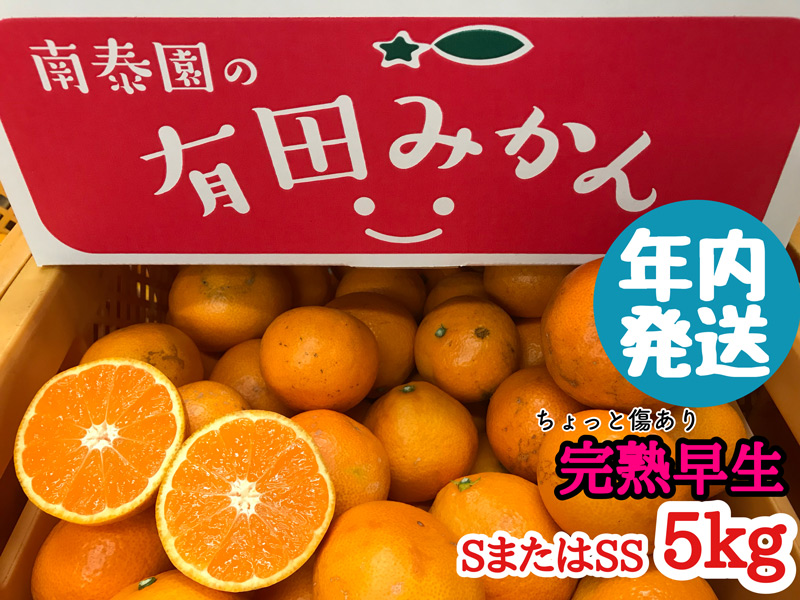 ZF6052n_≪年内発送≫ちょっと傷あり【完熟早生・有田みかん】SまたはSSサイズ／約5kg